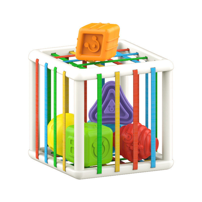 Colorful Shape Blocks Sorting