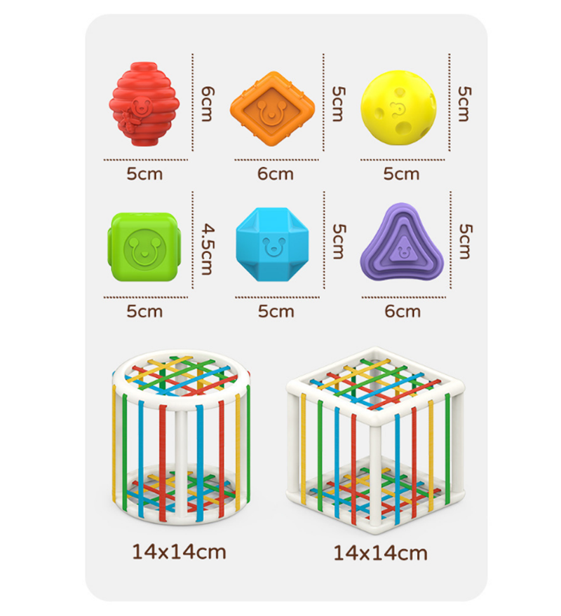 Colorful Shape Blocks Sorting